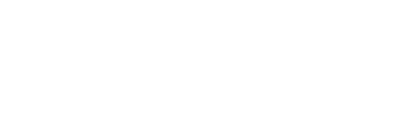 ISNE